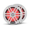 Rockford Fosgate M1-8 8