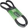 Mackay 6PK1895 Multi-Ribbed Belt