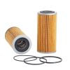 Ryco R2001P Oil Filter