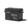 Renogy Core Mini 12.8V 300Ah LiFePO4 Battery w/Low-Temperature Protection RBT12300LFP-M
