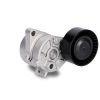 Schaeffler INA Belt Tensioner 533001510