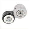 Schaeffler INA Belt Tensioner 534082110
