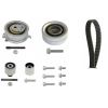 Schaeffler INA Timing Belt Kit 530055010