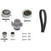 Schaeffler INA Timing Belt Kit 530055032