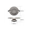 Tridon Radiator Cap CA0750