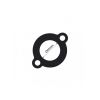 Tridon Thermostat Gasket TTG14