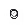 Tridon Thermostat Gasket TTG55