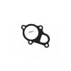 Tridon Thermostat Gasket TTG58