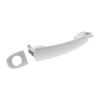 VAICO V10-6161 Exterior Door Handle
