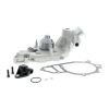 VAICO V45-50006 Engine Cooling Water Pump