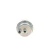 Bosch 0438170030 Fuel Accumulator