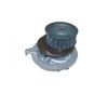 Tru-Flow TF2512 Water Pump