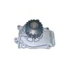 Tru-Flow TF3019 Water Pump