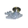 Tru-Flow TF3037 Water Pump