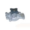 Tru-Flow TF3050 Water Pump