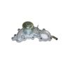 Tru-Flow TF3105 Water Pump