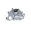 Tru-Flow TF3132 Water Pump