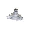 Tru-Flow TF807 Water Pump
