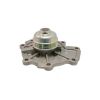 Tru-Flow TF8183 Water Pump