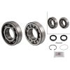 Schaeffler FAG Wheel Bearing Kit 713611530