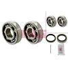 Schaeffler FAG Wheel Bearing Kit 713616030
