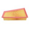 FRAM CA11411 Air Filter