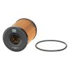 FRAM CH9713ECO Oil Filter