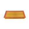 Wesfil WA981 Air Filter