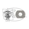 Gates TH04077G1 Thermostat