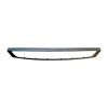 ACP Genuine Grille Mould fits Ford Focus LR 2002-2004 FOA-07110G