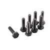 ClutchPro FWBLD04 Flywheel Bolt Set fits LDV 10 x 1.25 x 40 (8)