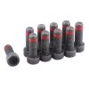 ClutchPro FWBVW01 Flywheel Bolt Set fits VW 10 x 1.0 x 29 (10)