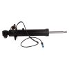Bapmic BF0321330234 Rear Shock Absorber R