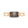 Bussmann AMG-250 Fuse Mega AMG 250A 32V DC 1Pk