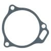 DuraPro GSKA284D Water Pump To Block Gasket fits Holden 138 149 161 173 179 186 202