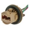 Jaylec ECH3161 Globe Socket T20 Double Contact