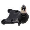 Febest Ball Joint Front Lower 3020-002