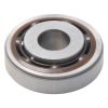 Febest Shock Absorber Mount Bearing OPB-001