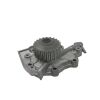 GMB GWS-19A Water Pump