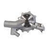 Gates GWP3038 Water Pump