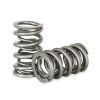 Kelford Dual Valve Spring Kit PAC-1204X
