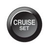 Link CAN Keypad Insert Cruise Set 101-0260