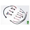 Radium Internal Bulkhead Harness Triple Walbro 255 Pumps 17-0027