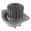 Schaeffler INA Water Pump 538005210