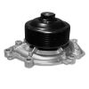 Schaeffler INA Water Pump 538023410