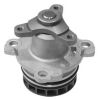 Schaeffler INA Water Pump 538039710