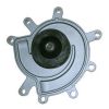 Schaeffler INA Water Pump 538069110