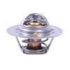 Gates TH12888G1 Thermostat