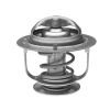 Gates TH30888G1 Thermostat