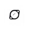 Tridon Thermostat Gasket TTG25